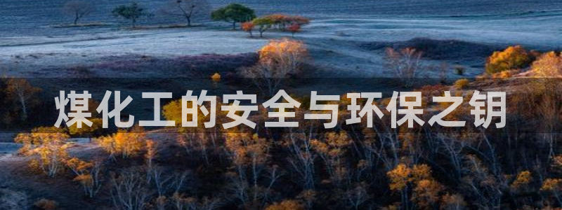 亿万先生现在的网址谁知道是真的：煤化工的安全与环保之钥