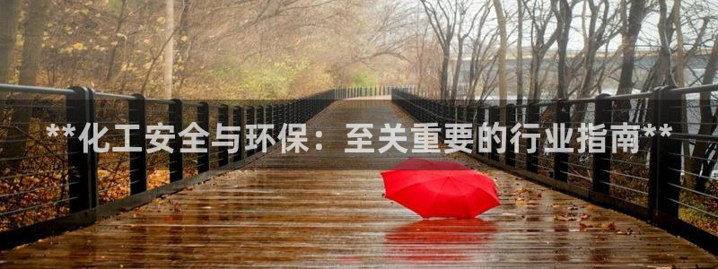亿万先生客服：**化工安全与环保：至关重要的行业指南**
