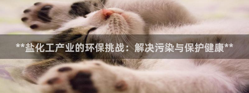 亿万官网字幕组官网下载：**盐化工产业的环保挑战：解决污染与保护健康**