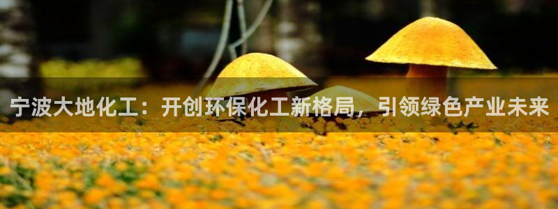 亿万先生手机网：宁波大地化工：开创环保化工新格局，引领绿色产业未来