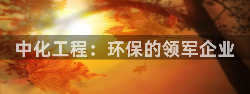 亿万国际游戏官网：中化工程：环保的领军企业