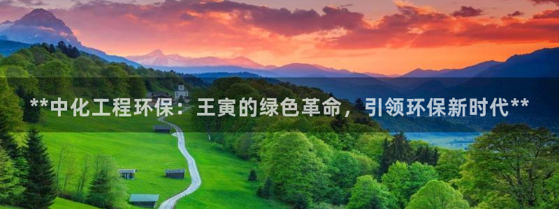 电视剧亿万：**中化工程环保：王寅的绿色革命，引领环保新时代**
