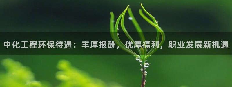 亿万钱包app下载：中化工程环保待遇：丰厚报酬，优厚福利，职业发展新机遇