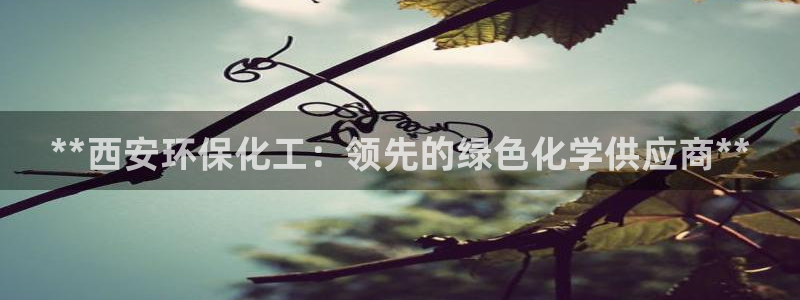 亿万国际平台是正规的吗安全吗：**西安环保化工：领先的绿色化学供应商**