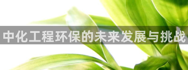 亿万钱包app下载：中化工程环保的未来发展与挑战