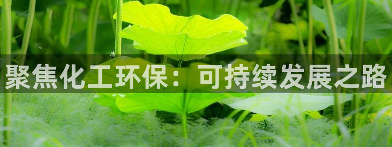 亿万客户端：聚焦化工环保：可持续发展之路