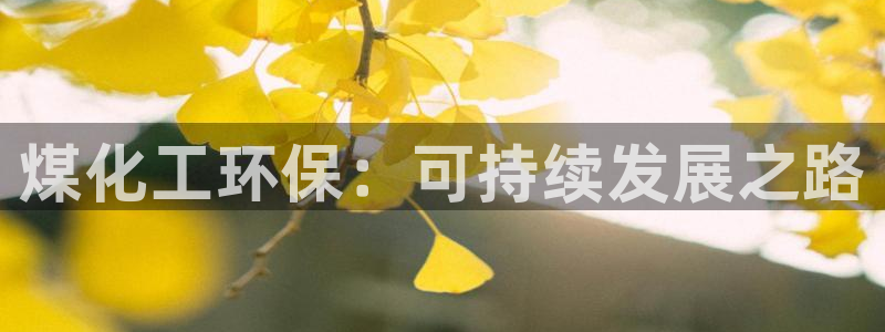 亿万集团：煤化工环保：可持续发展之路