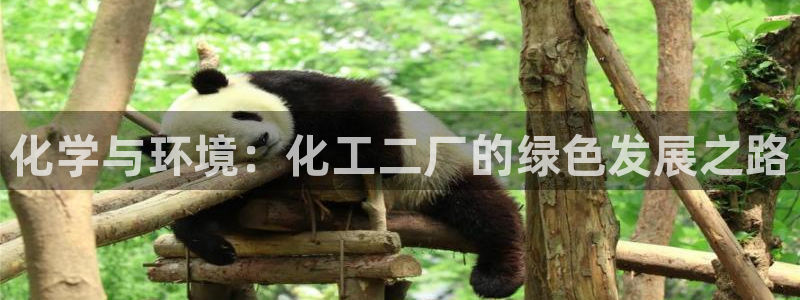亿万 下载：化学与环境：化工二厂的绿色发展之路