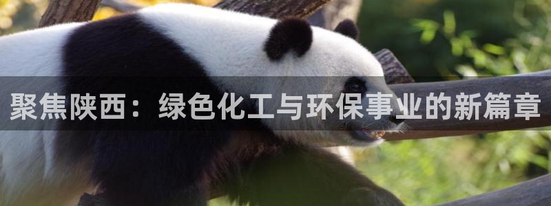 亿万billions：聚焦陕西：绿色化工与环保事业的新篇章