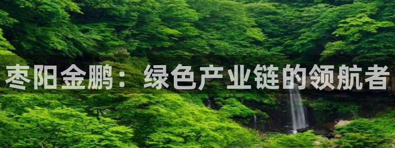 亿万下载第三季：枣阳金鹏：绿色产业链的领航者