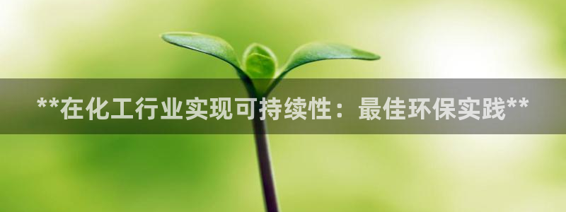 亿万先生mr07官网：**在化工行业实现可持续性：最佳环保实践**