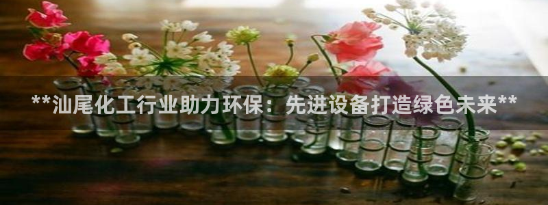 mr亿万先生：**汕尾化工行业助力环保：先进设备打造绿色未来**