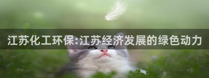 亿万先生手游下载官网：江苏化工环保:江苏经济发展的绿色动力