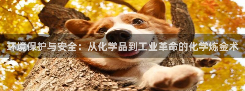 亿万先生mr008cc官网：环境保护与安全：从化学品到工业革命的化学炼金术