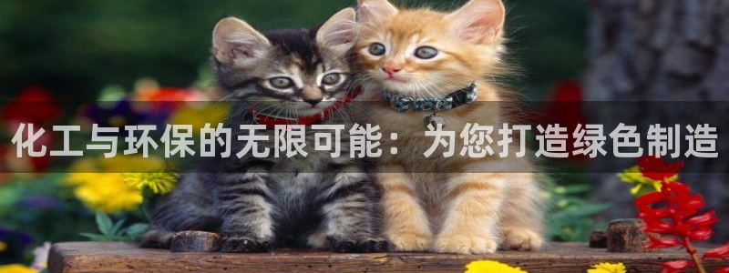 亿万先生mr01官网 - 亿万先生手机版入：化工与环保的无限可能：为您打造绿色制造
