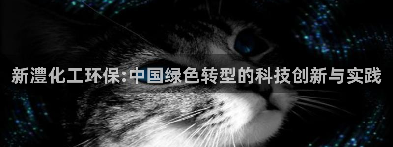 亿万先生客户端官网登录：新澧化工环保:中国绿色转型的科技创新与实践