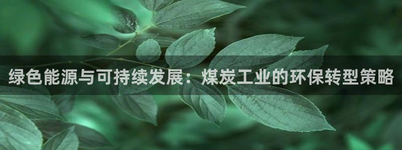 亿万问答：绿色能源与可持续发展：煤炭工业的环保转型策略