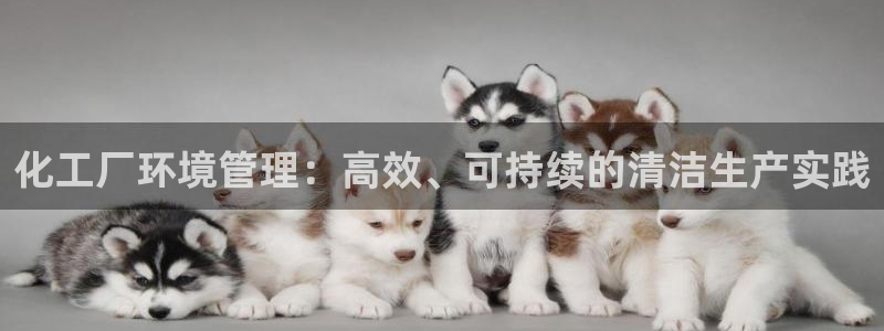 亿万先生合并网址是什么：化工厂环境管理：高效、可持续的清洁生产实践