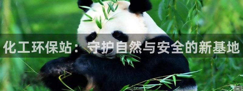 亿万官网字幕组官网下载：化工环保站：守护自然与安全的新基地