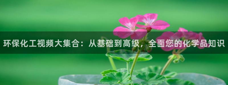亿万先生客服联系方式查询：环保化工视频大集合：从基础到高级，全面您的化学品知识
