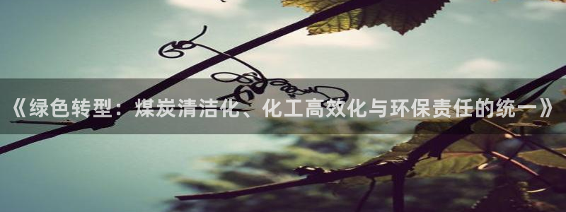 亿万笞人：《绿色转型：煤炭清洁化、化工高效化与环保责任的统一》