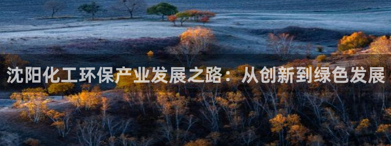 亿万先生官方网站首页：沈阳化工环保产业发展之路：从创新到绿色发展