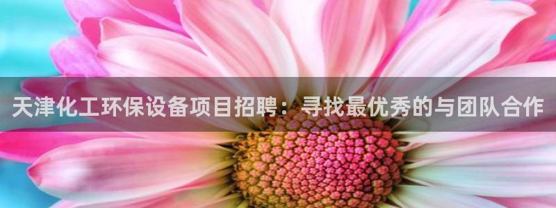 亿万先生游戏平台网址：天津化工环保设备项目招聘：寻找最优秀的与团队合作