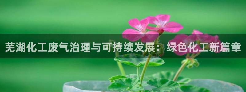 亿万先生官方网站客户端下载安装最新版：芜湖化工废气治理与可持续发展：绿色化工新篇章