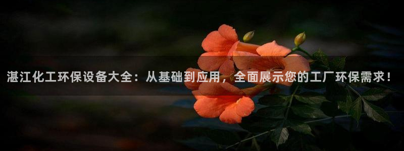 亿万讲什么：湛江化工环保设备大全：从基础到应用，全面展示您的工厂环保需求！