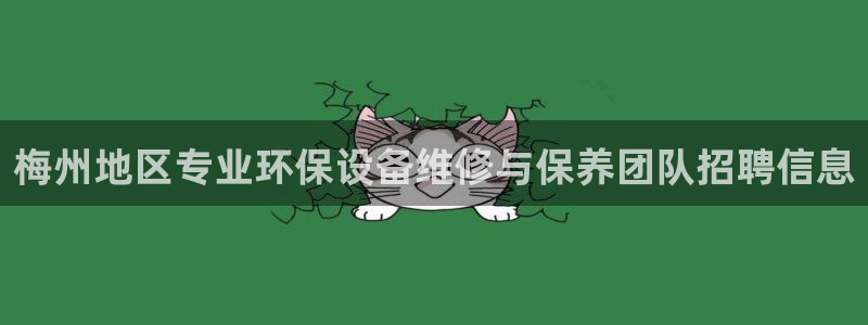 亿万先生用什么客户端：梅州地区专业环保设备维修与保养团队招聘信息