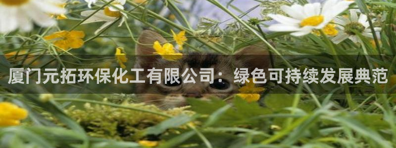 亿万先生下载客户端：厦门元拓环保化工有限公司：绿色可持续发展典范