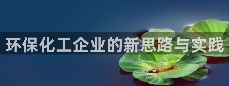 电影 亿万：环保化工企业的新思路与实践