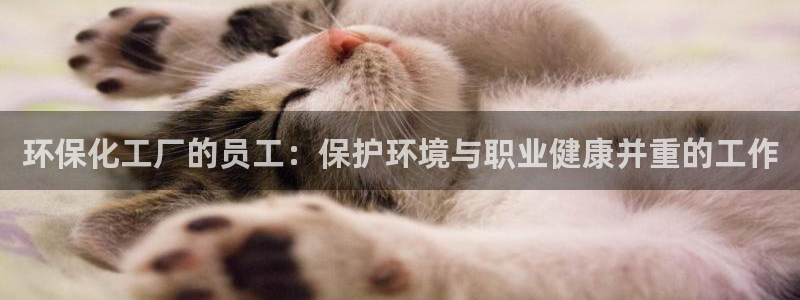 亿万先生情侣车有什么用：环保化工厂的员工：保护环境与职业健康并重的工作