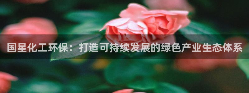 亿万先生客服联系方式：国星化工环保：打造可持续发展的绿色产业生态体系