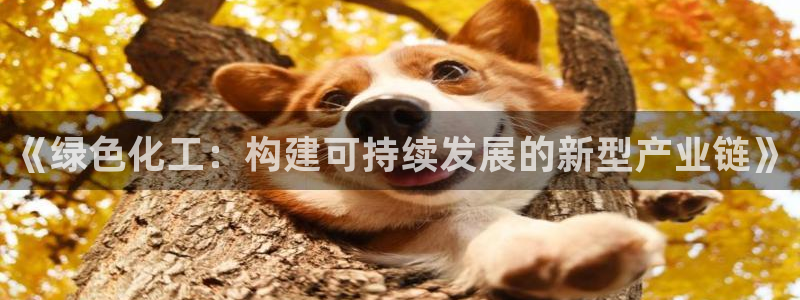 亿万先生充电桩怎么样：《绿色化工：构建可持续发展的新型产业链》