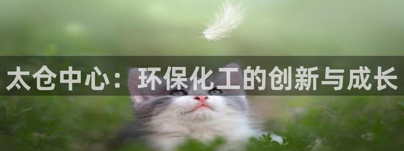 亿万先生网红：太仓中心：环保化工的创新与成长