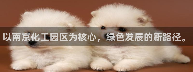 亿万钱包app下载：以南京化工园区为核心，绿色发展的新路径。