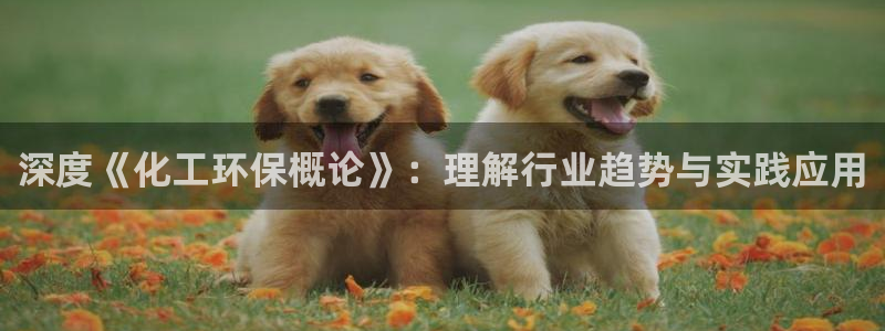 亿万先生客户端怎么下载：深度《化工环保概论》：理解行业趋势与实践应用