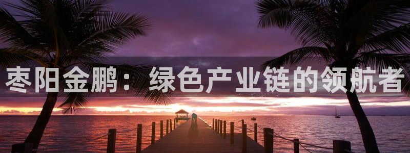 亿万先生换网址了吗知乎：枣阳金鹏：绿色产业链的领航者