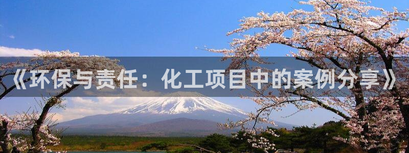 亿万先生客服联系方式是什么：《环保与责任：化工项目中的案例分享》