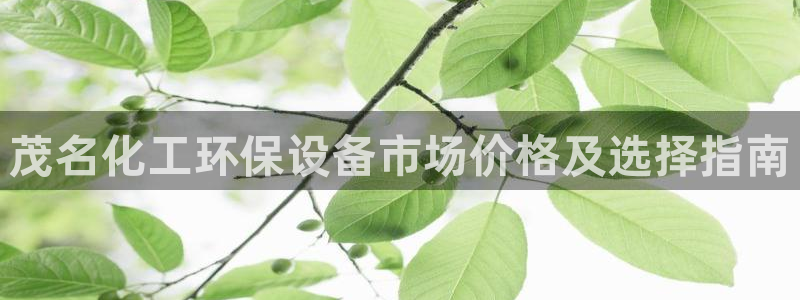 电影 亿万：茂名化工环保设备市场价格及选择指南