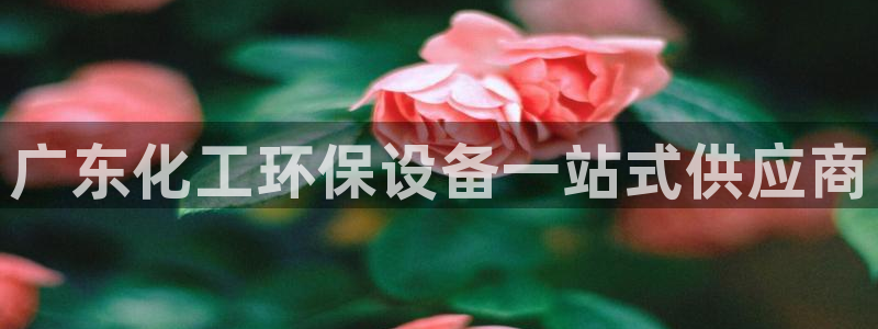 亿万先生007官网：广东化工环保设备一站式供应商