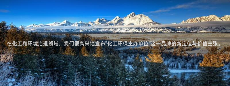 亿万先生手机版入口在哪看：在化工和环境治理领域，我们很高兴地宣布\