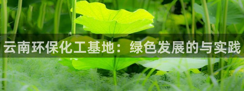 亿万先生下载网址app：云南环保化工基地：绿色发展的与实践