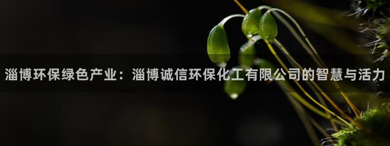 亿万财富网：淄博环保绿色产业：淄博诚信环保化工有限公司的智慧与活力
