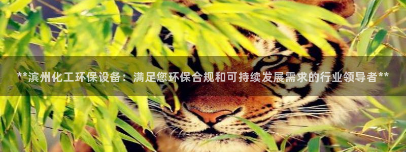 亿万官网字幕：**滨州化工环保设备：满足您环保合规和可持续发展需求的行业领导者**