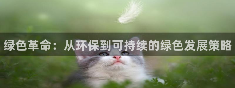 亿万app下载：绿色革命：从环保到可持续的绿色发展策略