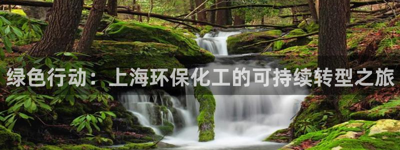 亿万先生是男是女：绿色行动：上海环保化工的可持续转型之旅