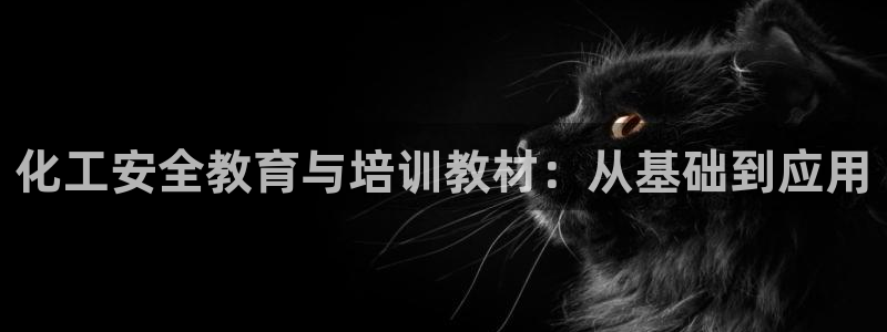 亿万城市手游官网：化工安全教育与培训教材：从基础到应用
