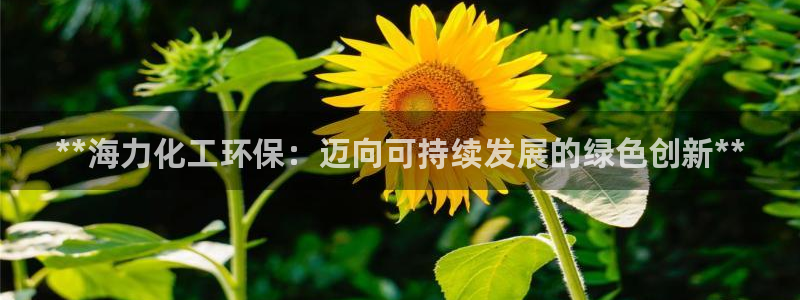 亿万先生游戏平台网址：**海力化工环保：迈向可持续发展的绿色创新**